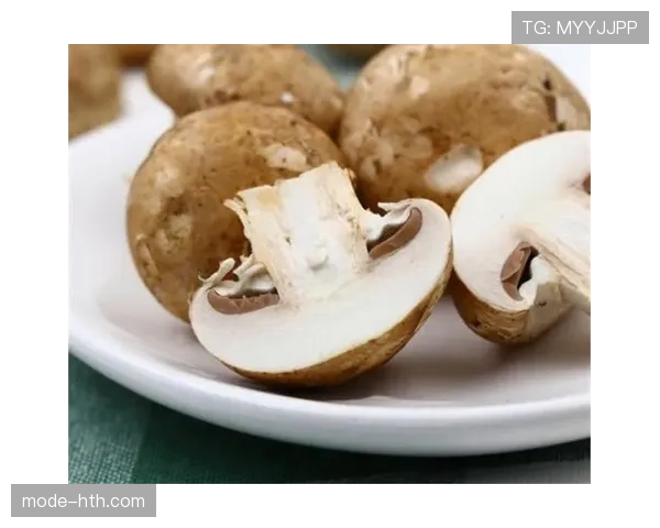 范迪克家的狗都吃有机牛排