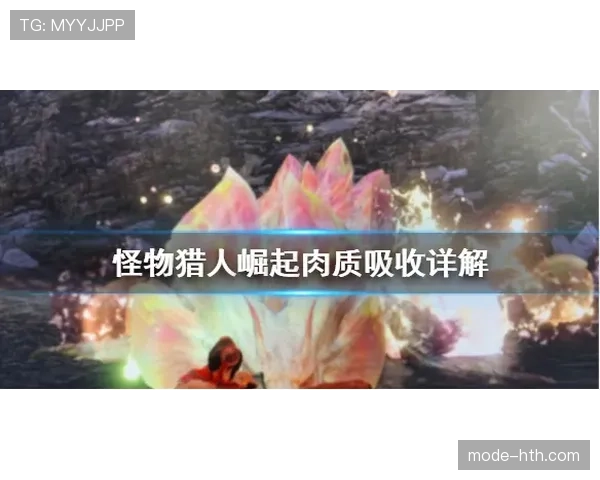 裁判哨音的规则含义与使用场景解析 裁判哨音的规则含义与使用场景解析
